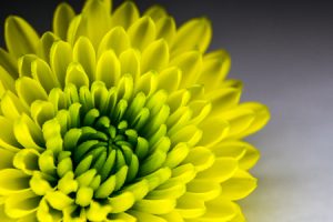 Professional writing with Gina Frampton